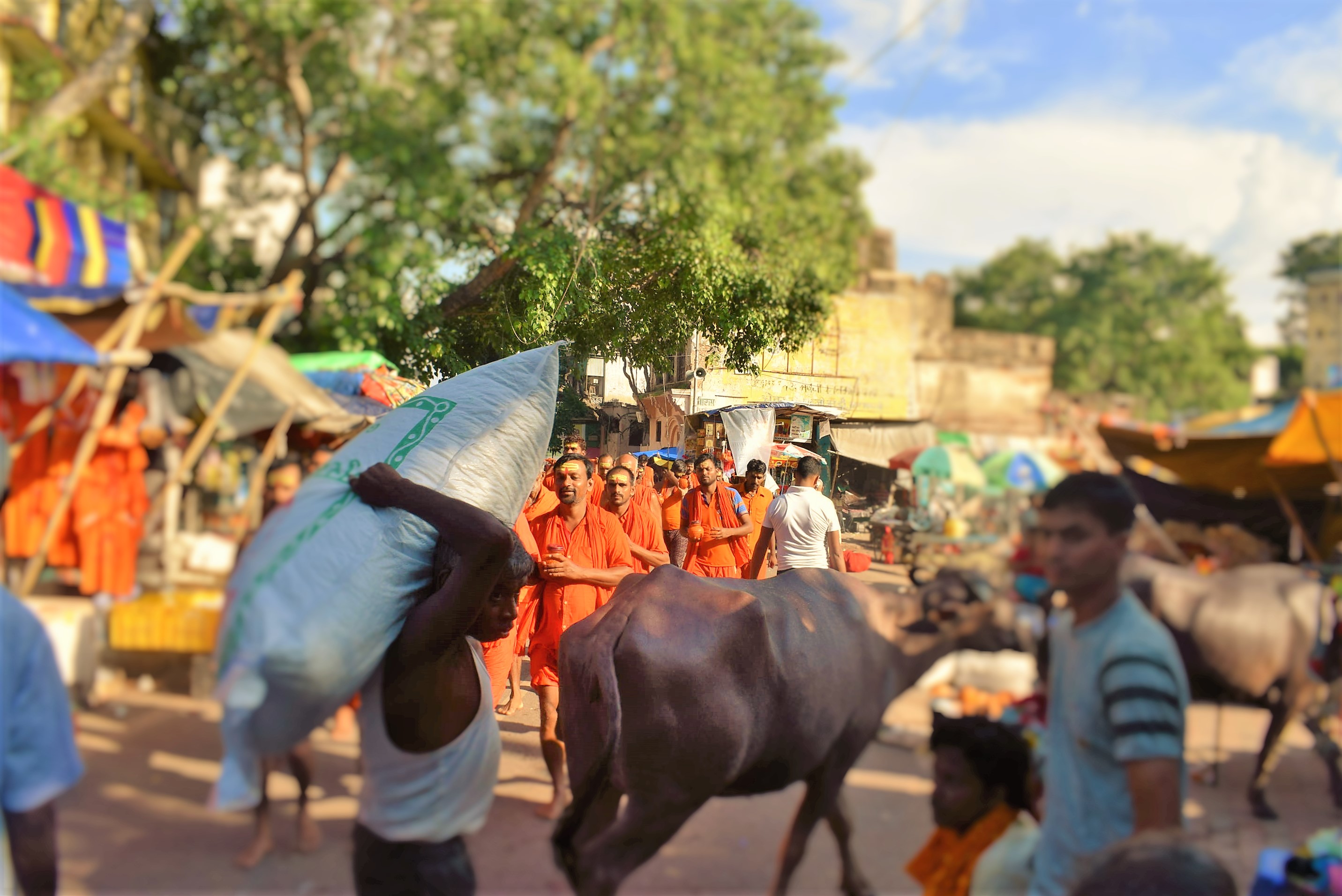 Adventure in India: Planes, Trains & Autorickshaws…and Camels
