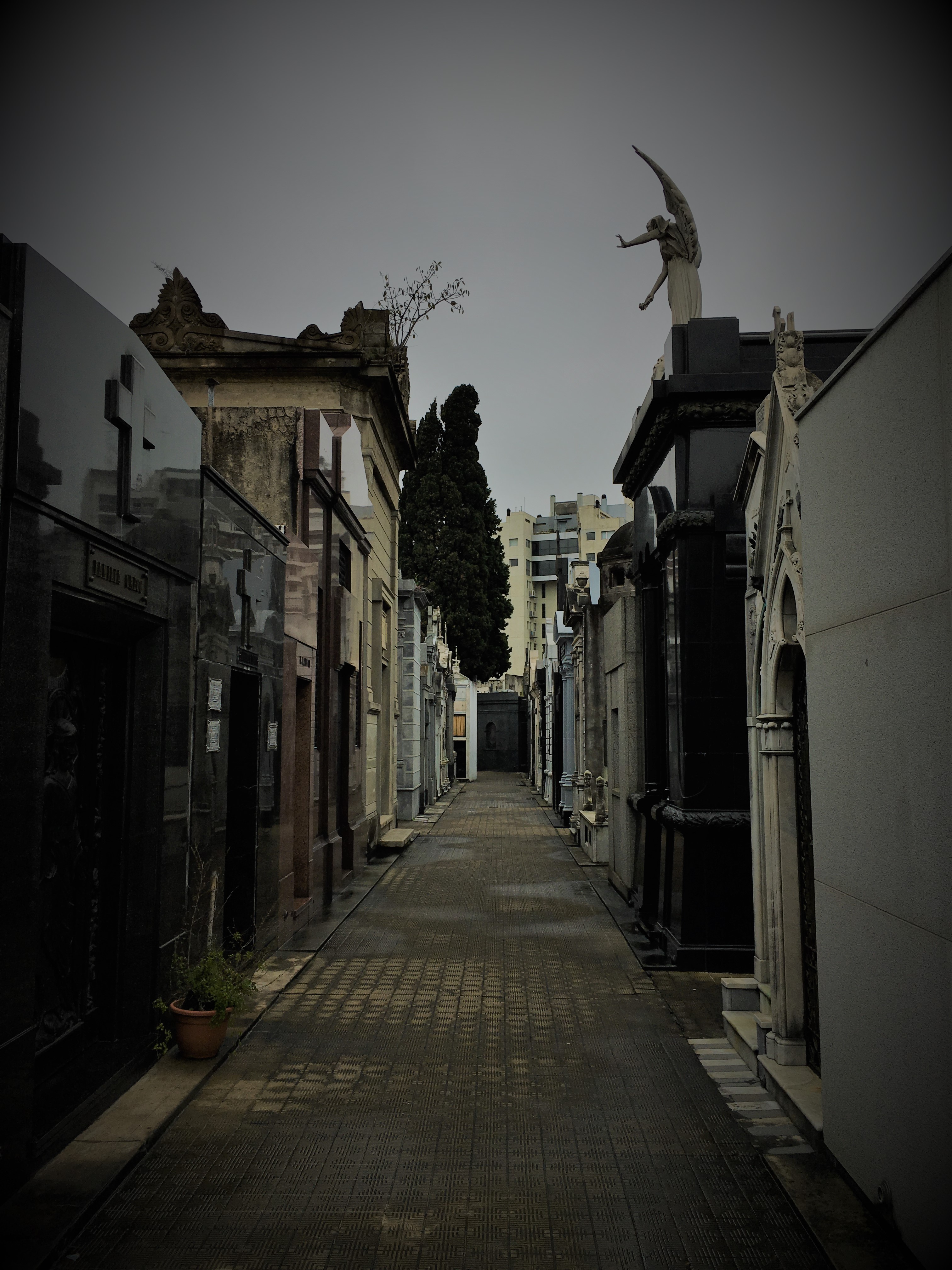 Cemetery Postcards aka Recollections of Recoleta
